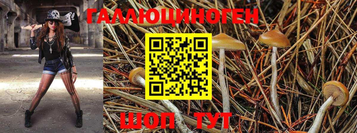Кохма  Галлюциногенные грибы ЛСД  Псилоцибиновые грибы MAGIC MUSHROOMS  Вход с VPN 